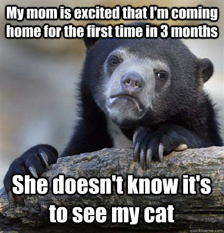 My mom is excited that I'm coming home for the first time in 3 months She doesn't know it's to see my cat  Confession Bear