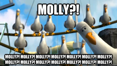 Molly?!  Molly?! Molly?! Molly?! Molly?! Molly?! Molly?! Molly?! Molly?! Molly?! Molly?! Molly?! Molly?! Molly?! Molly?!   Nemo Seagulls