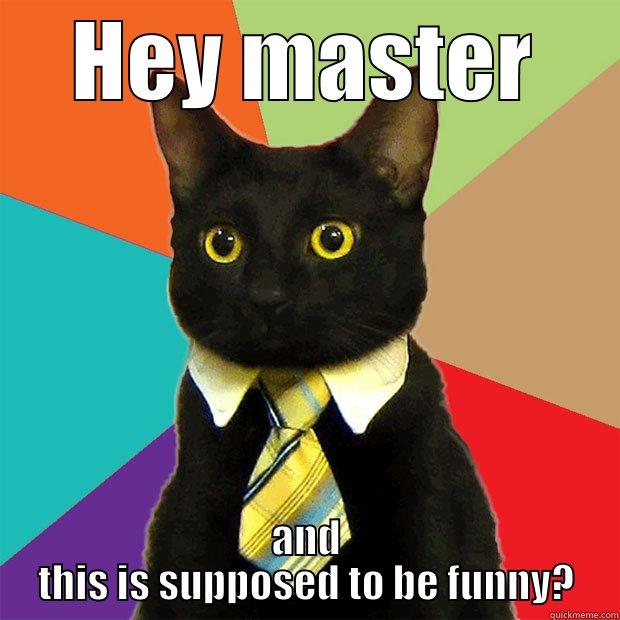 HEY MASTER AND THIS IS SUPPOSED TO BE FUNNY? Business Cat