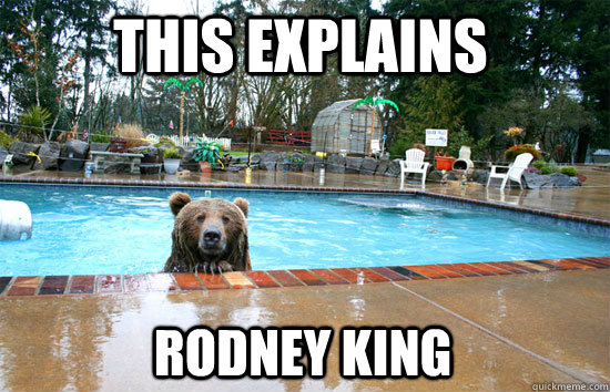 this explains Rodney King  