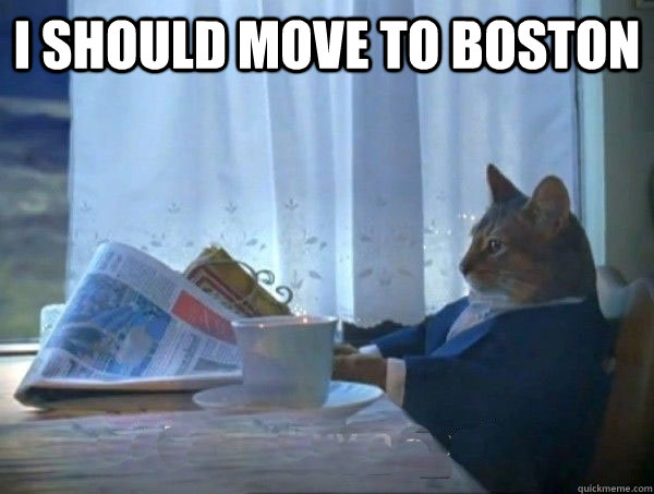 i should move to boston  - i should move to boston   morning realization newspaper cat meme