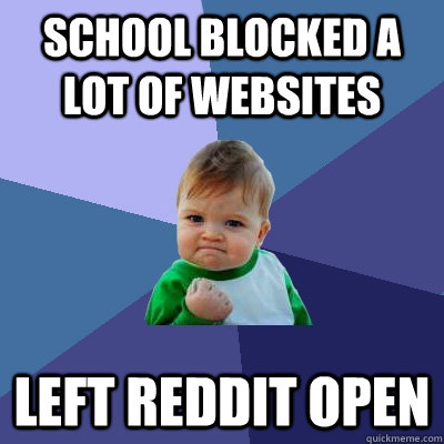 School blocked a lot of websites left reddit open  Success Kid