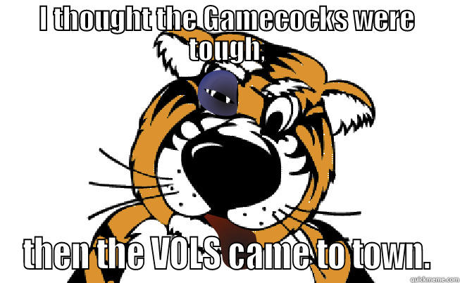 Vols beat Mizzou!!! - I THOUGHT THE GAMECOCKS WERE TOUGH, THEN THE VOLS CAME TO TOWN. Misc