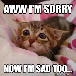 Aww I'm sorry Now I'm sad too... - Aww I'm sorry Now I'm sad too...  Misc