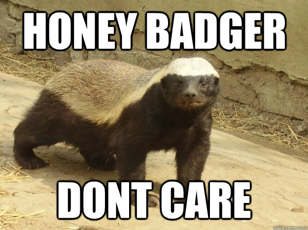 Honey Badger Dont care - Honey Badger Dont care  Honey Badger Dont Care