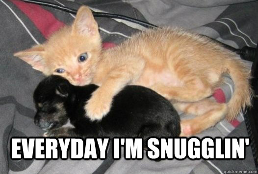 EVERYDAY I'M SNUGGLIN' - EVERYDAY I'M SNUGGLIN'  Misc