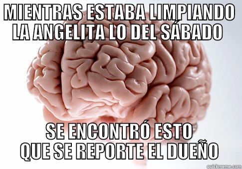 MIENTRAS ESTABA LIMPIANDO LA ANGELITA LO DEL SÁBADO  SE ENCONTRÓ ESTO QUE SE REPORTE EL DUEÑO Scumbag Brain