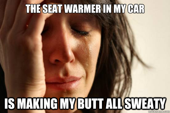 The seat warmer in my car Is making my butt all sweaty  First World Problems