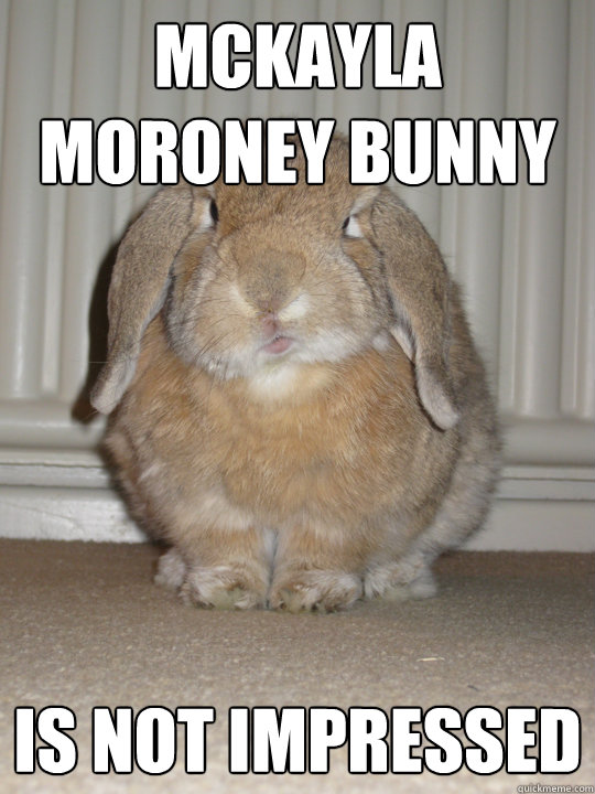 Mckayla Moroney bunny is not impressed - Mckayla Moroney bunny is not impressed  This bunny is not impressed...