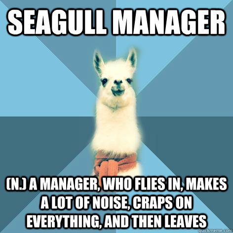 SEAGULL MANAGER (n.) A manager, who flies in, makes a lot of noise, craps on everything, and then leaves  Linguist Llama