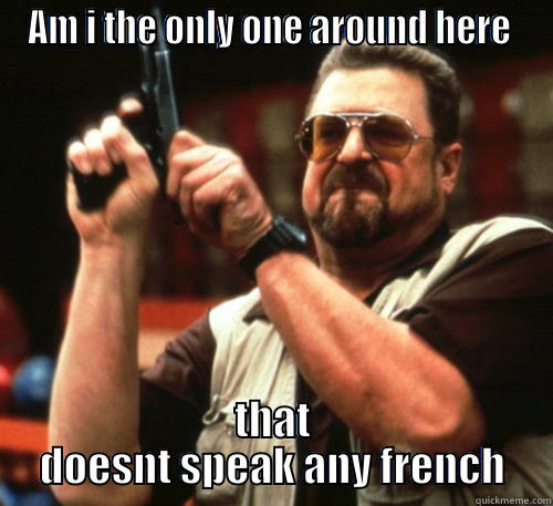 AM I THE ONLY ONE AROUND HERE  THAT DOESNT SPEAK ANY FRENCH Am I The Only One Around Here