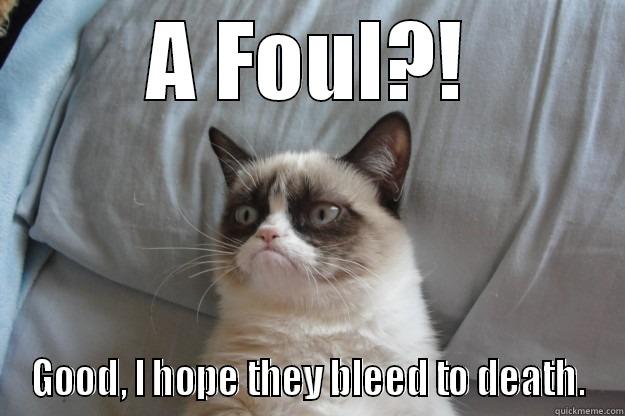 A FOUL?! GOOD, I HOPE THEY BLEED TO DEATH. Grumpy Cat