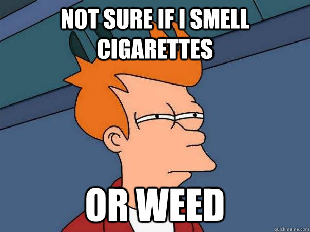 Not sure if I smell cigarettes or weed  Futurama Fry