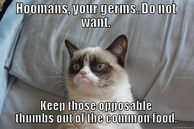 HOOMANS, YOUR GERMS. DO NOT WANT. KEEP THOSE OPPOSABLE THUMBS OUT OF THE COMMON FOOD. Grumpy Cat