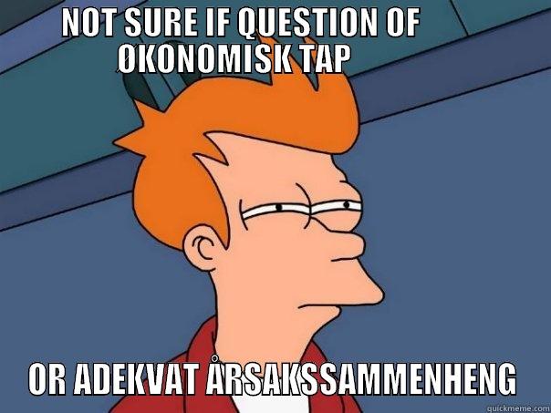  NOT SURE IF QUESTION OF            ØKONOMISK TAP             OR ADEKVAT ÅRSAKSSAMMENHENG Futurama Fry