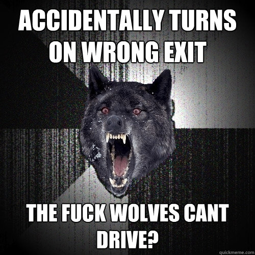 accidentally turns on wrong exit  the fuck wolves cant drive?  Insanity Wolf