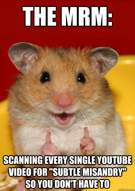 the mrm: scanning every single youtube video for 