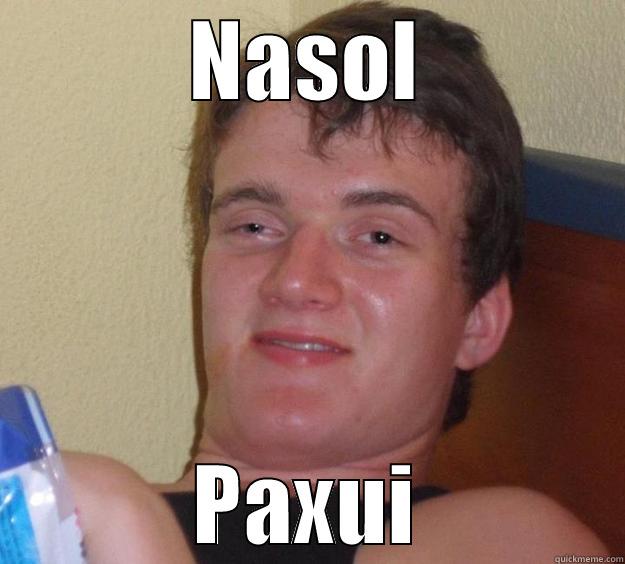 NASOL PAXUI 10 Guy