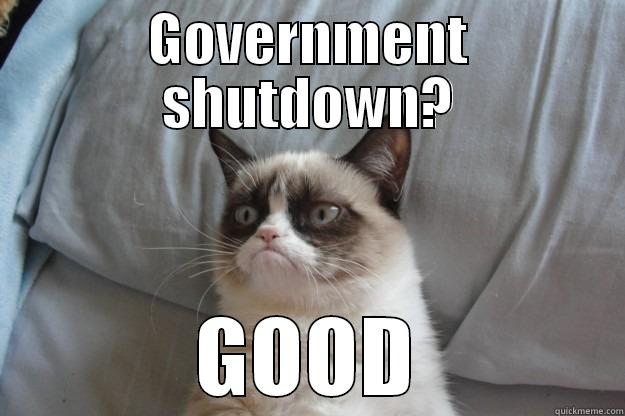 GOVERNMENT SHUTDOWN? GOOD Grumpy Cat