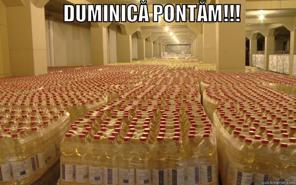                 DUMINICĂ PONTĂM!!!                   Misc