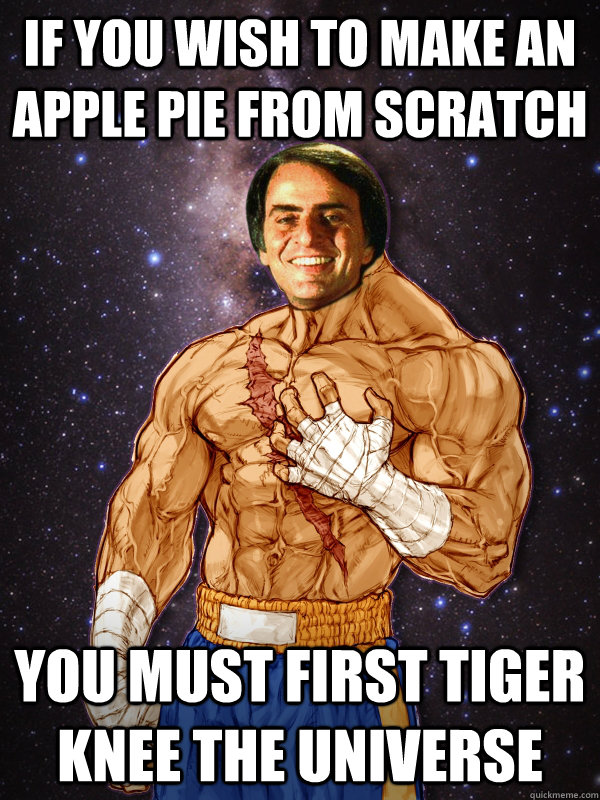 If you wish to make an apple pie from scratch You must first tiger knee the universe - If you wish to make an apple pie from scratch You must first tiger knee the universe  Carl Sagat