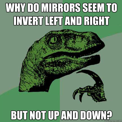 Why do mirrors seem to invert left and right but not up and down?   Philosoraptor