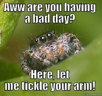 AWW ARE YOU HAVING A BAD DAY? HERE, LET ME TICKLE YOUR ARM! Misunderstood Spider