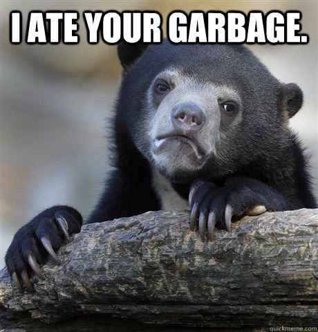 I ate your garbage.   Confession Bear