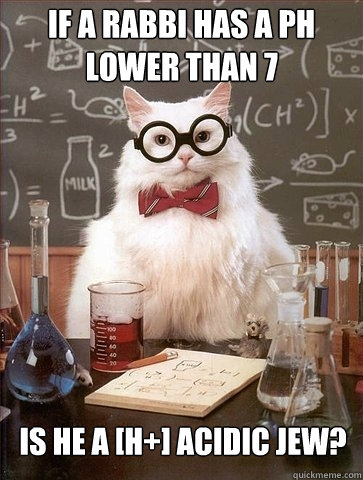 If a rabbi has a pH lower than 7 is he a [h+] acidic jew? - If a rabbi has a pH lower than 7 is he a [h+] acidic jew?  Chemistry Cat