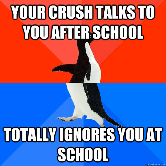 your crush talks to you after school totally ignores you at school - your crush talks to you after school totally ignores you at school  Socially Awesome Awkward Penguin