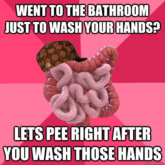 Went to the bathroom just to wash your hands? lets pee right after you wash those hands  Scumbag Intestines