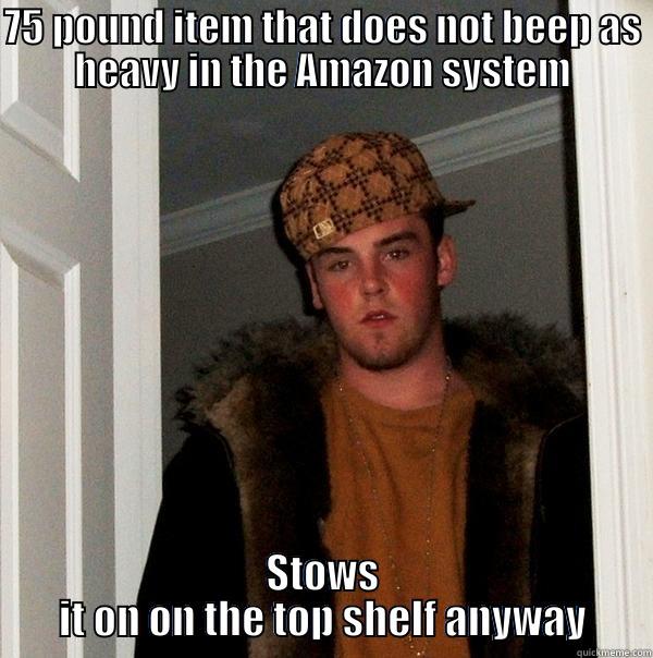 75 POUND ITEM THAT DOES NOT BEEP AS HEAVY IN THE AMAZON SYSTEM STOWS IT ON ON THE TOP SHELF ANYWAY Scumbag Steve