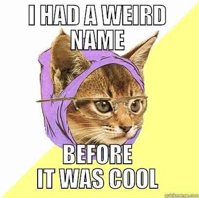 I HAD A WEIRD NAME BEFORE IT WAS COOL Hipster Kitty