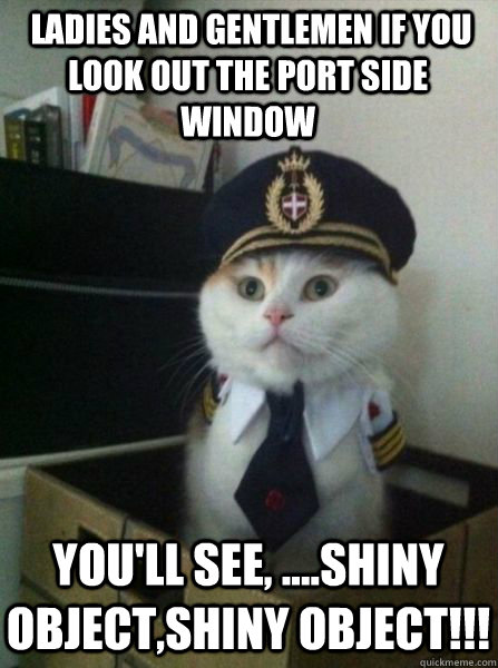  ladies and gentlemen if you look out the port side window  you'll see, ....shiny object,shiny object!!! -  ladies and gentlemen if you look out the port side window  you'll see, ....shiny object,shiny object!!!  Captain kitteh