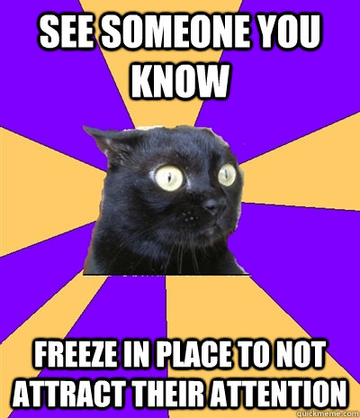 see someone you know freeze in place to not attract their attention - see someone you know freeze in place to not attract their attention  Anxiety Cat