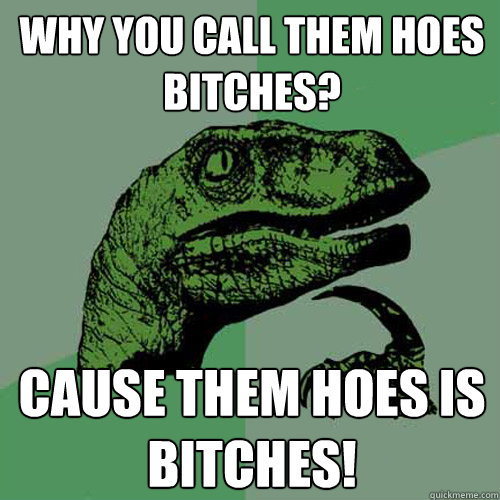 Why you call them hoes bitches? Cause them hoes is bitches! - Why you call them hoes bitches? Cause them hoes is bitches!  Philosoraptor