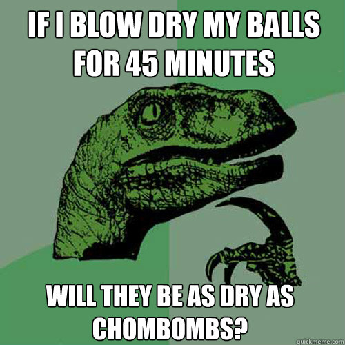 if i blow dry my balls for 45 minutes will they be as dry as chombombs? - if i blow dry my balls for 45 minutes will they be as dry as chombombs?  Philosoraptor