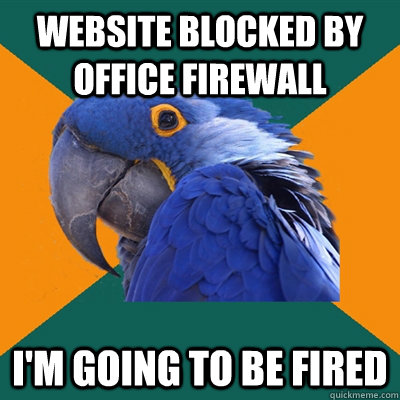 Website blocked by office firewall I'm going to be fired  Paranoid Parrot