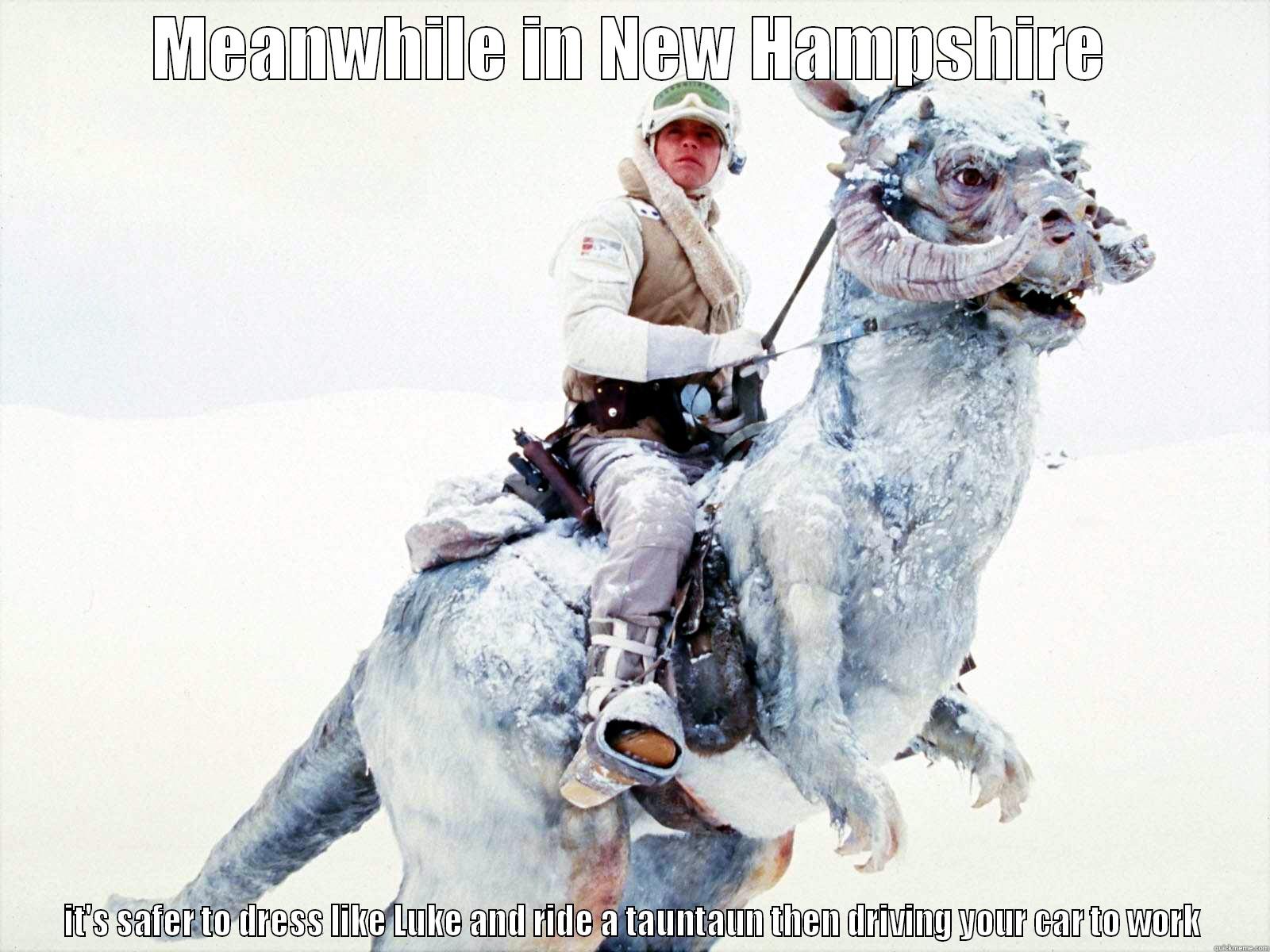 tauntaun 2 - MEANWHILE IN NEW HAMPSHIRE IT'S SAFER TO DRESS LIKE LUKE AND RIDE A TAUNTAUN THEN DRIVING YOUR CAR TO WORK Misc