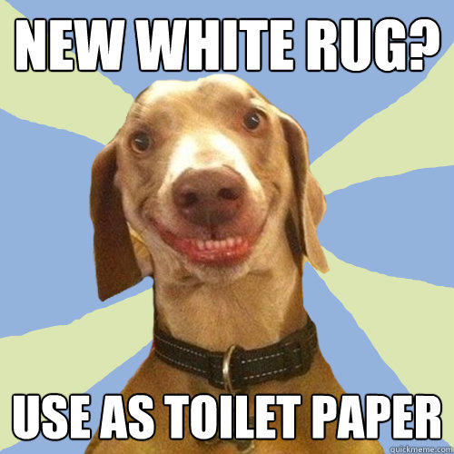 New white rug? Use as toilet paper  Disgusting Doggy