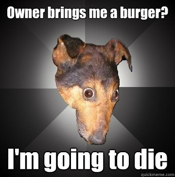 Owner brings me a burger?  I'm going to die  Depression Dog