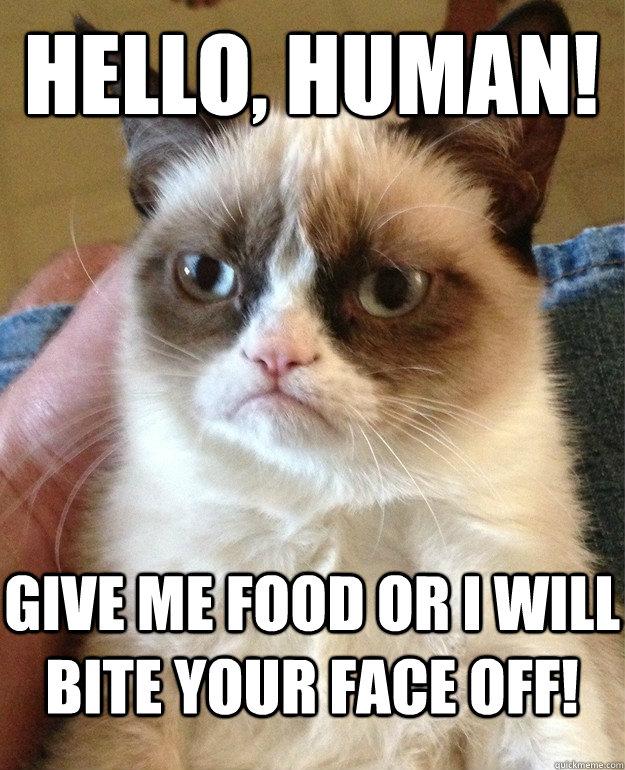 Hello, human! Give me food or i will bite your face off!  Grumpy Cat