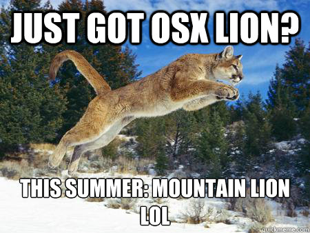 Just got OSX Lion? This summer: MOUNTAIN LION
lol  MOUNTAIN LIONS