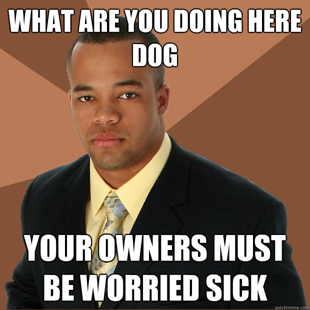 What are you doing here dog Your owners must be worried sick  Successful Black Man