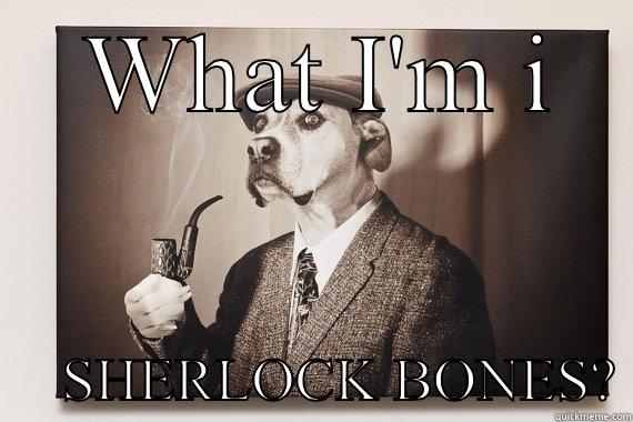 What are u -  WHAT I'M I      SHERLOCK BONES? Misc