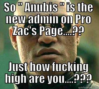 anubis high - SO 