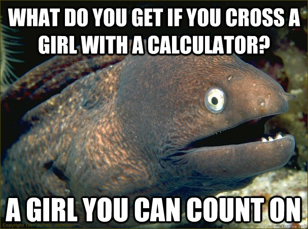 what do you get if you cross a girl with a calculator? a girl you can count on  Bad Joke Eel