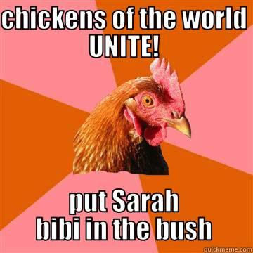 chickens of the world! - CHICKENS OF THE WORLD UNITE! PUT SARAH BIBI IN THE BUSH! Anti-Joke Chicken