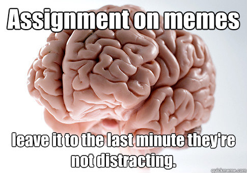 Assignment on memes leave it to the last minute they're not distracting.  - Assignment on memes leave it to the last minute they're not distracting.   Scumbag Brain