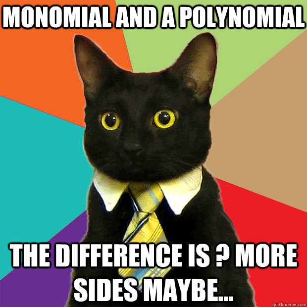 Monomial and a Polynomial The difference is ? more sides maybe... - Monomial and a Polynomial The difference is ? more sides maybe...  Business Cat